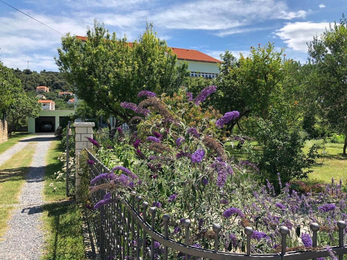 Apartments Muntidor Palit Dış mekan fotoğraf