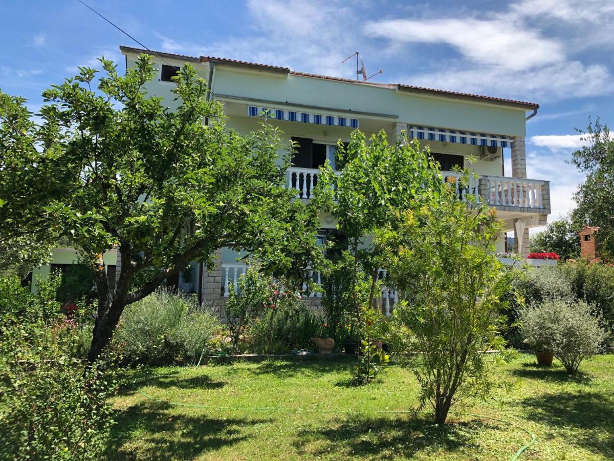 Apartments Muntidor Palit Dış mekan fotoğraf